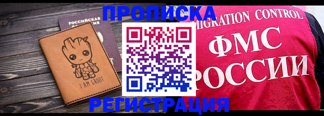 прописка 2025 в Михайловке